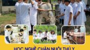 Học Nghề Chăn Nuôi Thú Y Ở Đâu Tốt Nhất Tại Nghệ An? 5