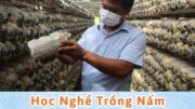 học nghề trồng nấm