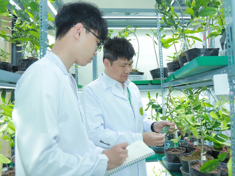 Có Nên Học Nghề Bảo Vệ Thực Vật Tại Nghệ An? 5 Có Nên Học Nghề Bảo Vệ Thực Vật Tại Nghệ An? 4