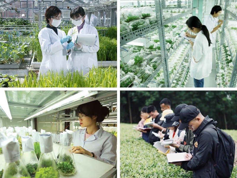 Có Nên Học Nghề Bảo Vệ Thực Vật Tại Nghệ An? 3 Có Nên Học Nghề Bảo Vệ Thực Vật Tại Nghệ An? 2