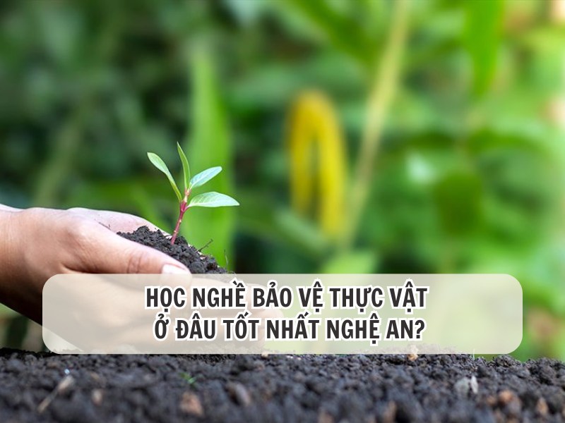 Có Nên Học Nghề Bảo Vệ Thực Vật Tại Nghệ An? 1 học nghề bảo vệ thực vật
