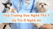 trường dạy nghề thú y ở nghệ an