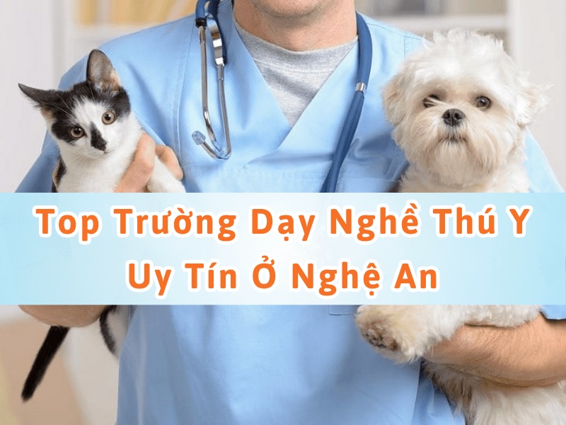 trường dạy nghề thú y ở nghệ an